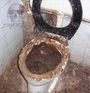 sapo