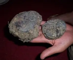 Las drogas, y efectos