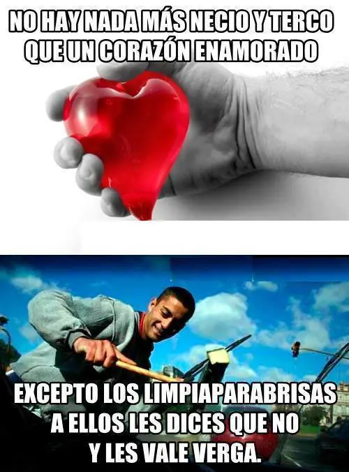 memes