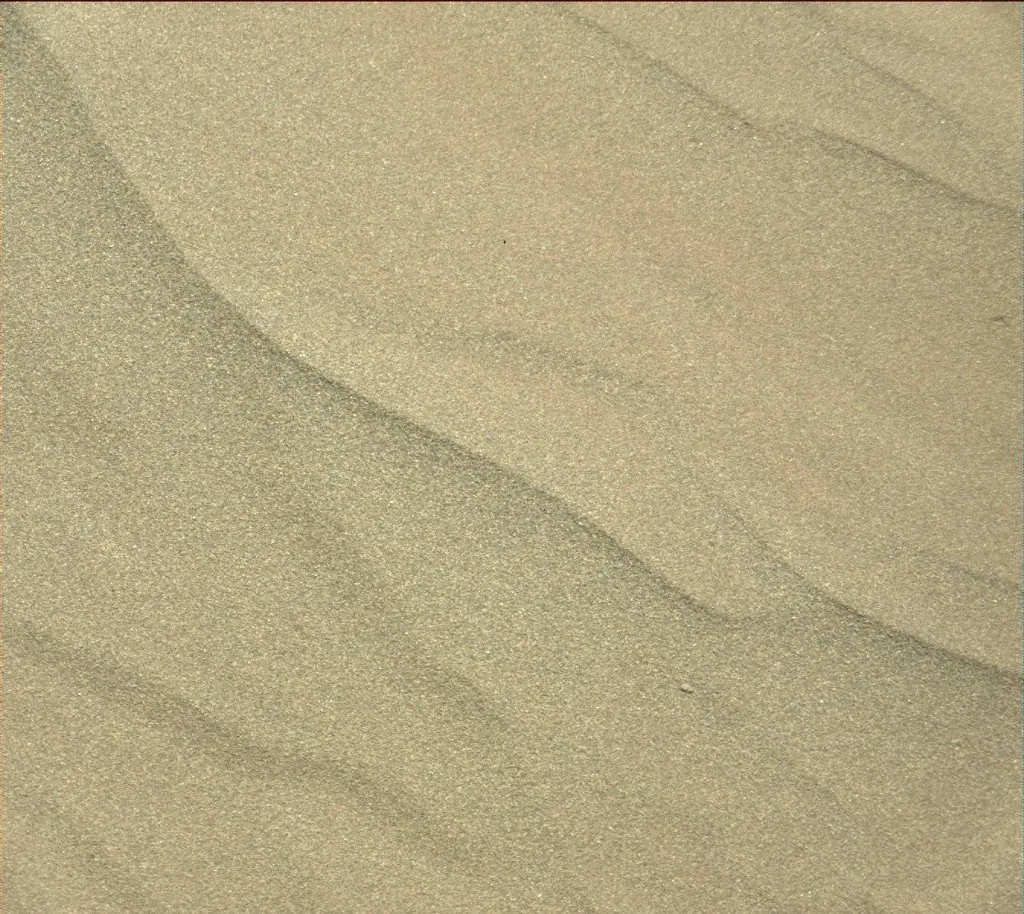 ¿La NASA descubrió vida en Marte? Mirá estas extrañas fotos