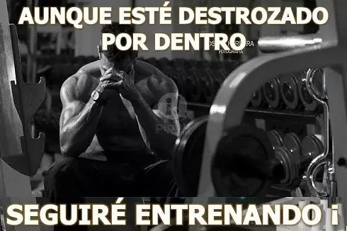 motivacion