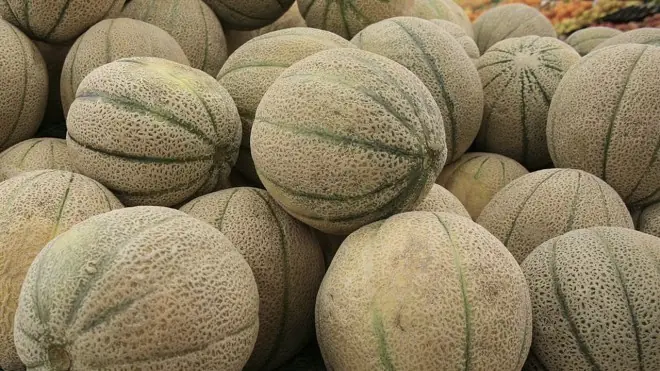Pero mira estos melones papá (apto)