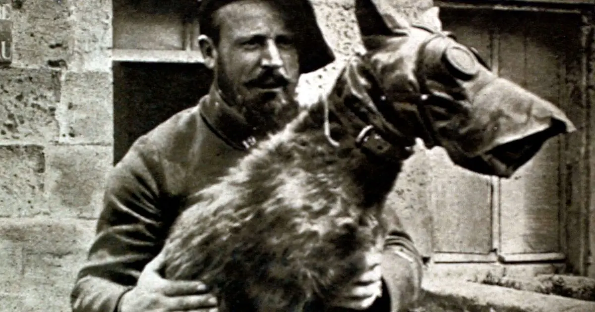 Satán, el perro mensajero.(Primera Guerra Mundial)
