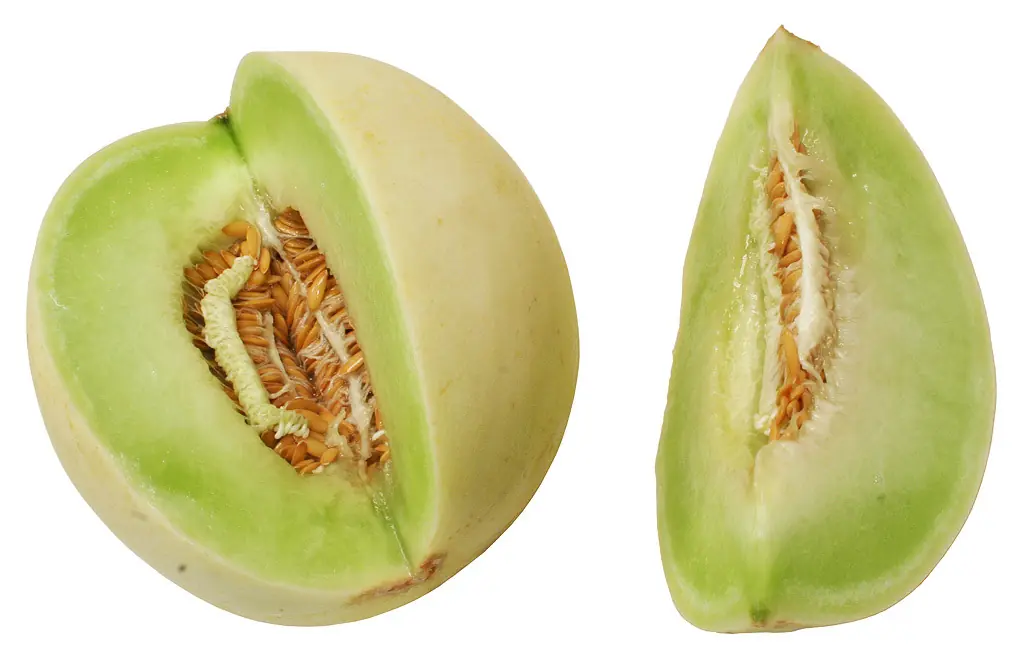 melon