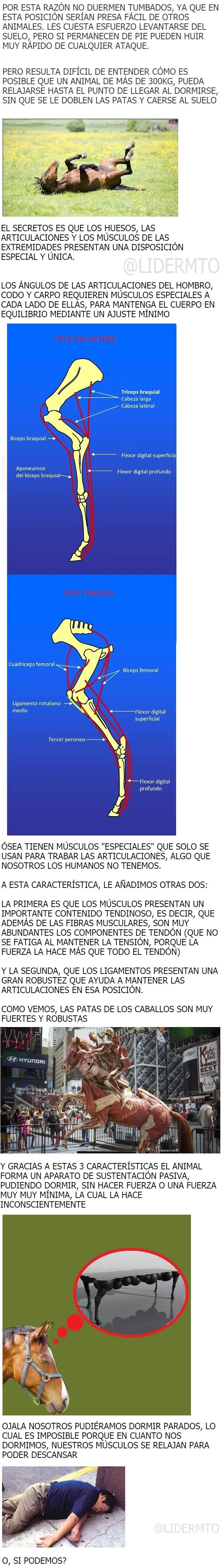 agujero negro