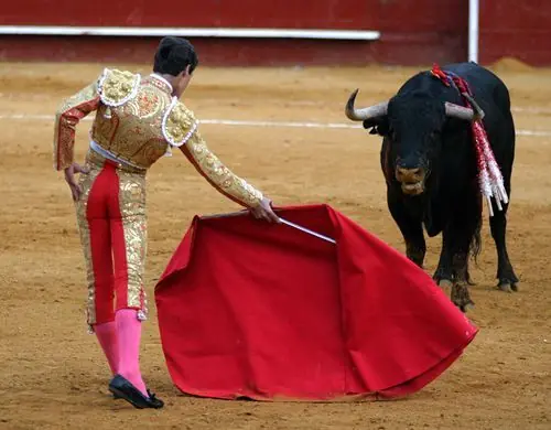 de toros