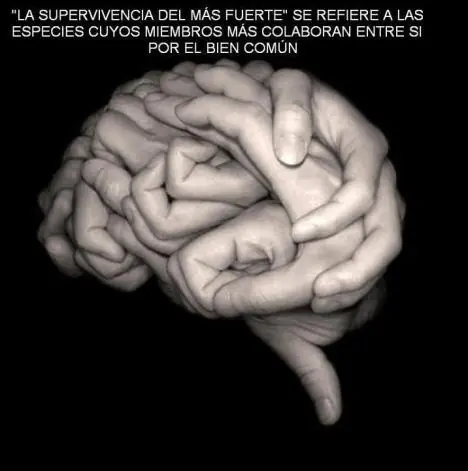 conciencia