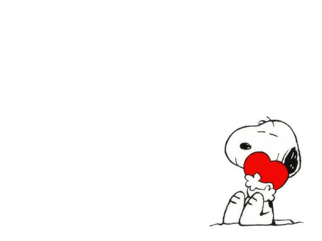 amor