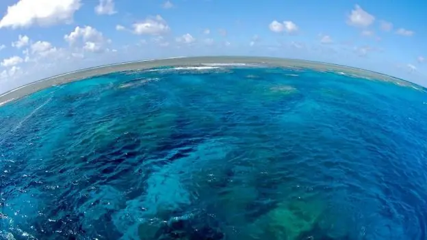 La concha de la lora ☺