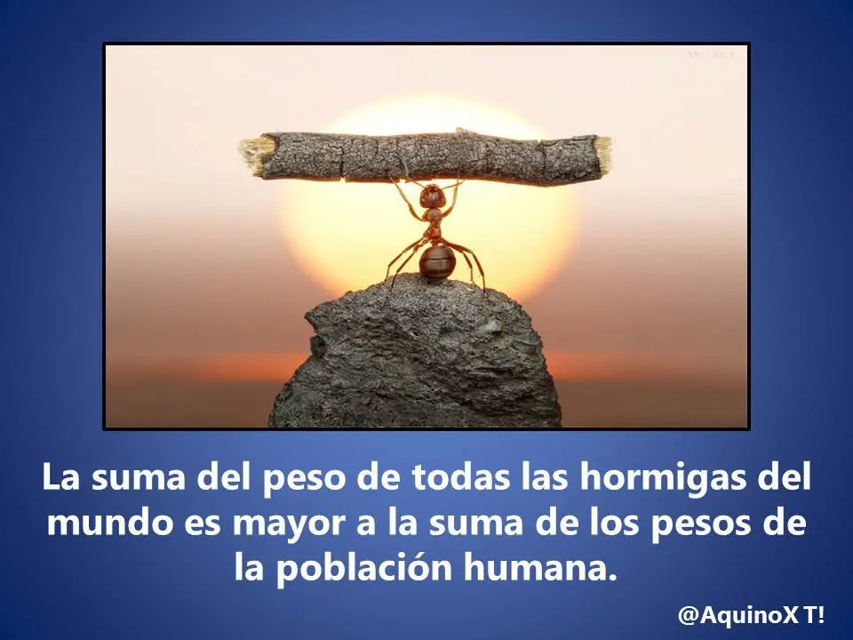 50 datos curiosos