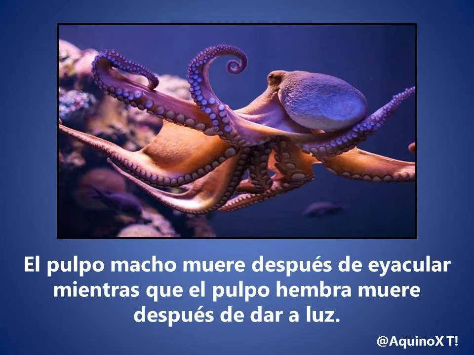 Interesante