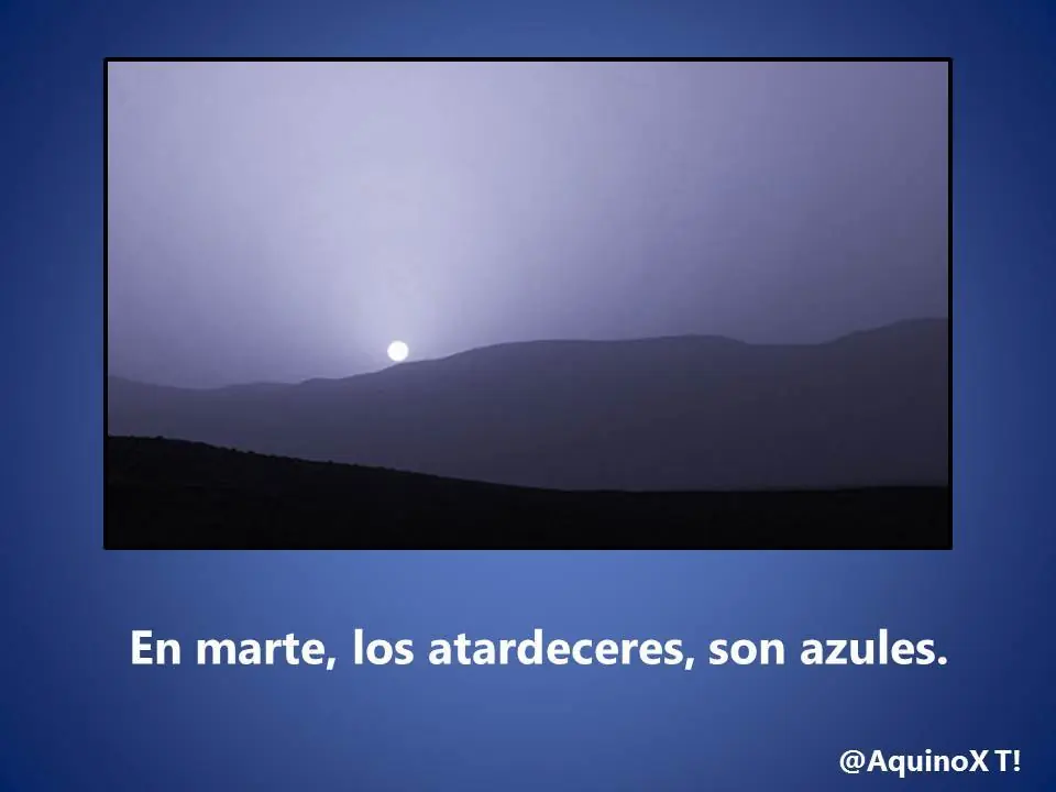 50 datos curiosos
