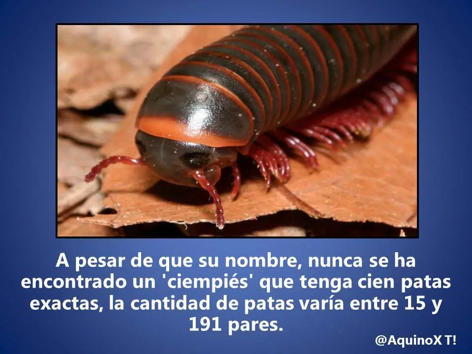 Interesante