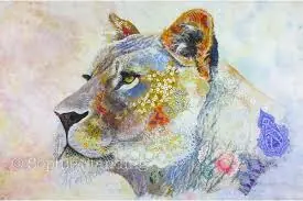 colores