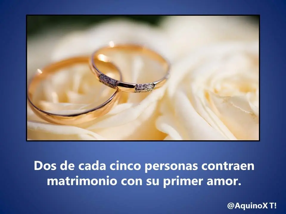 50 datos curiosos