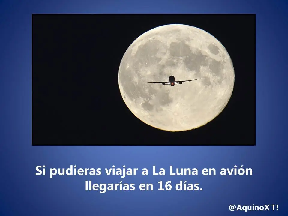 50 Datos Curiosos Para Vos Lince!