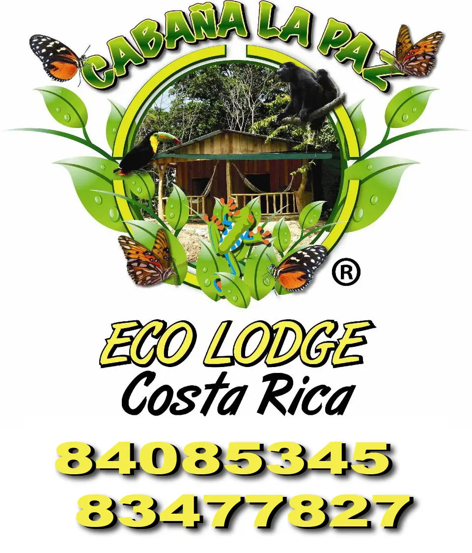 Tourismo Cabaña Costa Rica 84085345