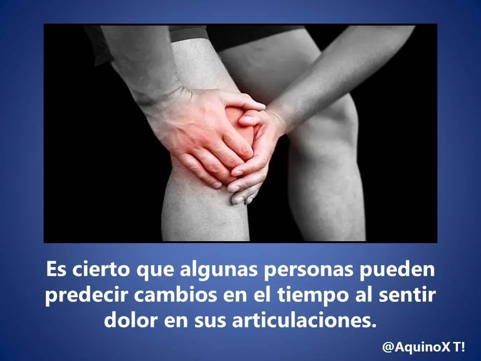 50 Datos Curiosos Para Vos Lince!
