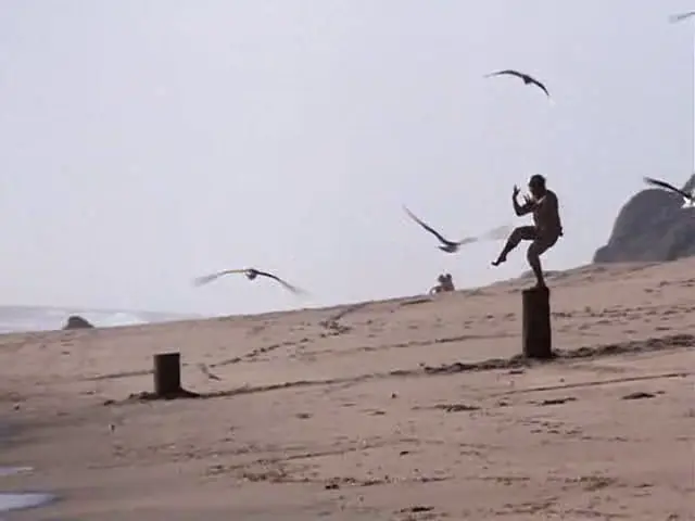 arte
