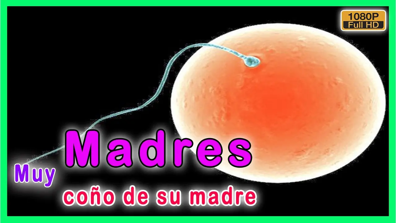 Videos de niños abandonados y rescatados vivos
