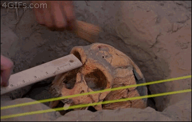 Si te queres reir un buen rato mira estos gif!! 36º