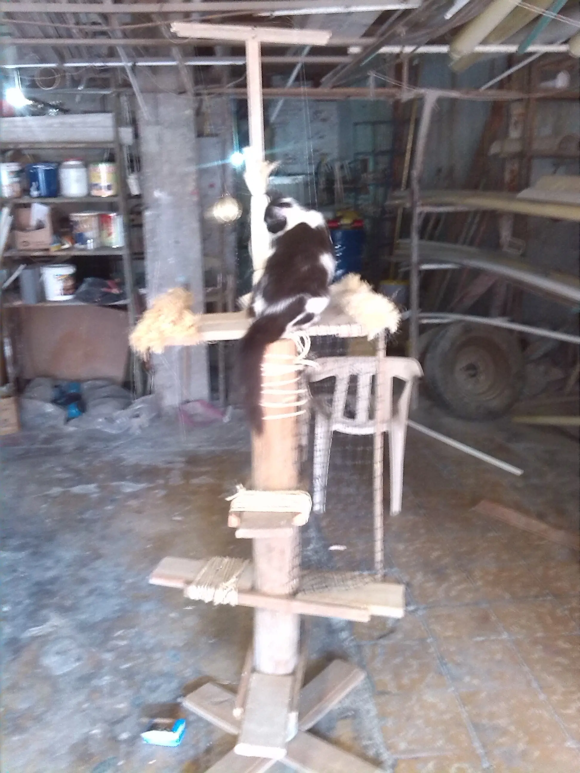 trabajos caseros trabajos caseros