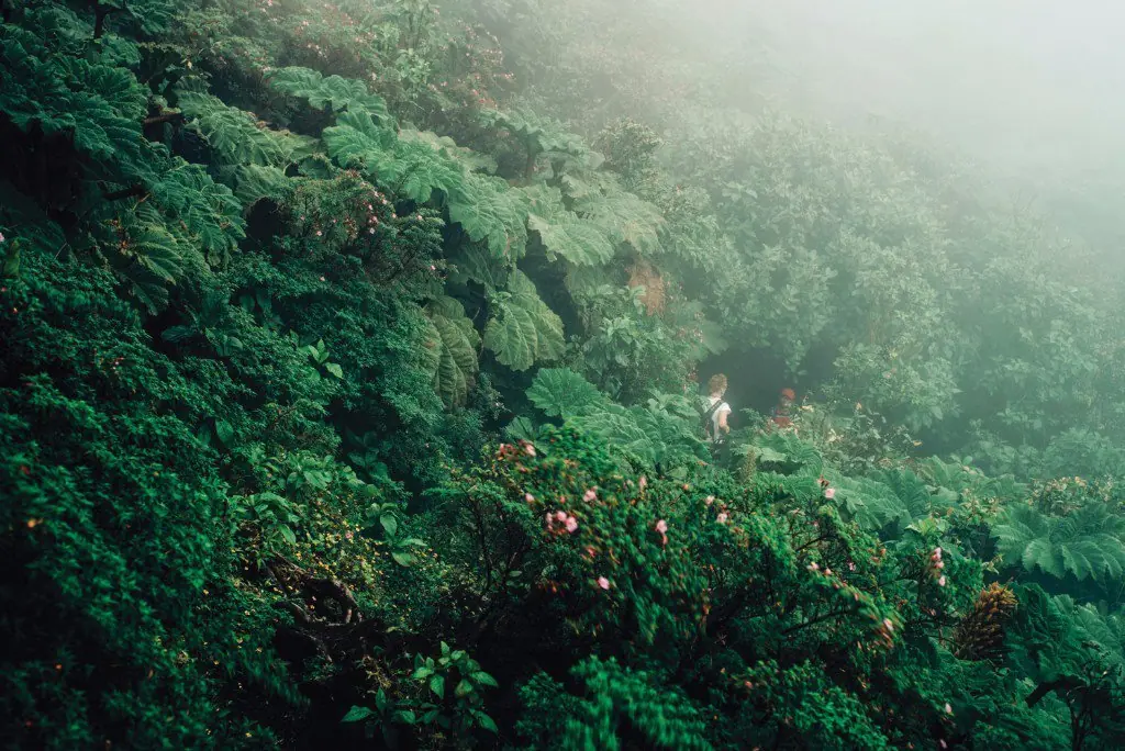 Jovenes viven en la selva entre drogas, alcohol y sexo