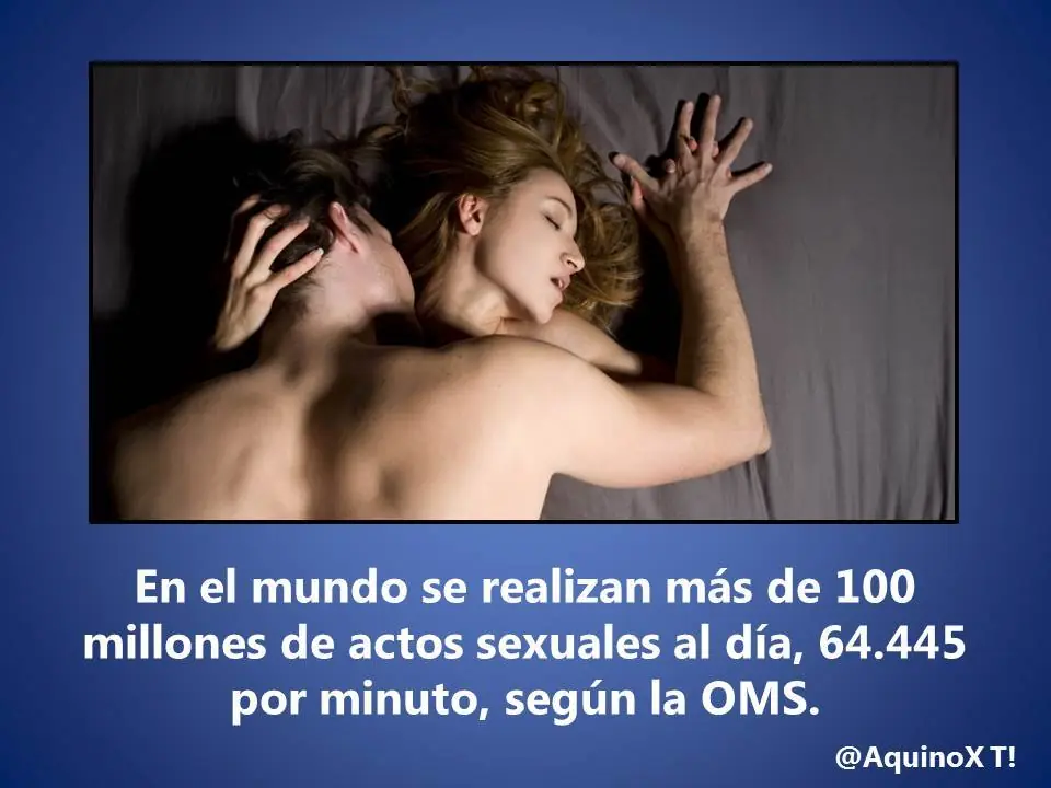 50 Datos Curiosos Para Vos Lince!
