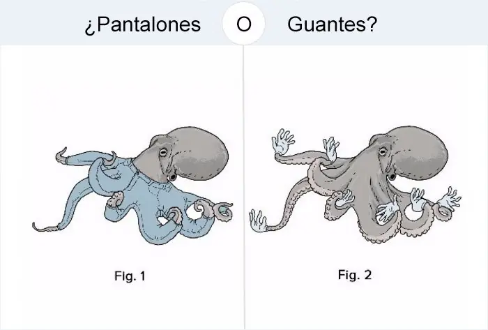 preguntas dificiles:¿como llevaria un perro pantalones?