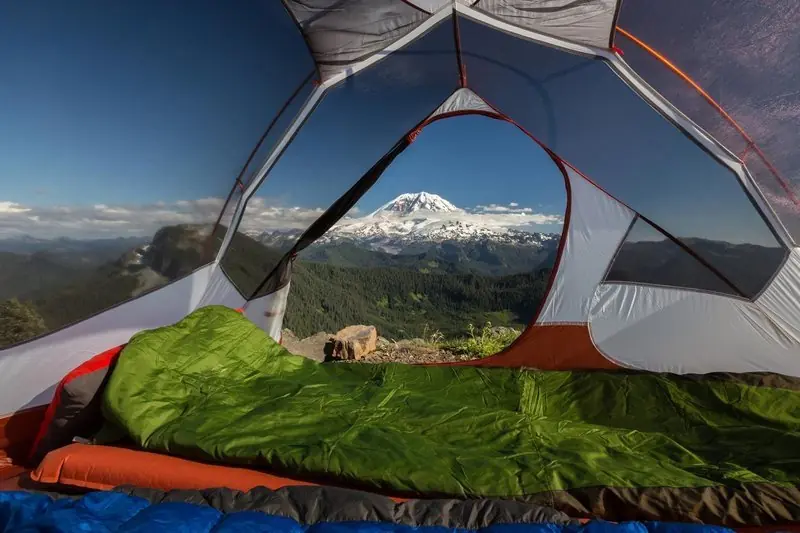 carpa