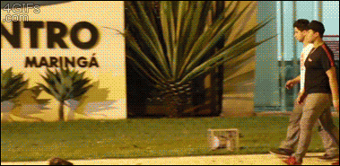 estos gif