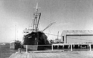 Argentina en Malvinas antes de la guerra