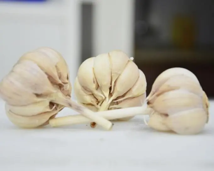 Los 12 mejores alimentos para un corazón sano