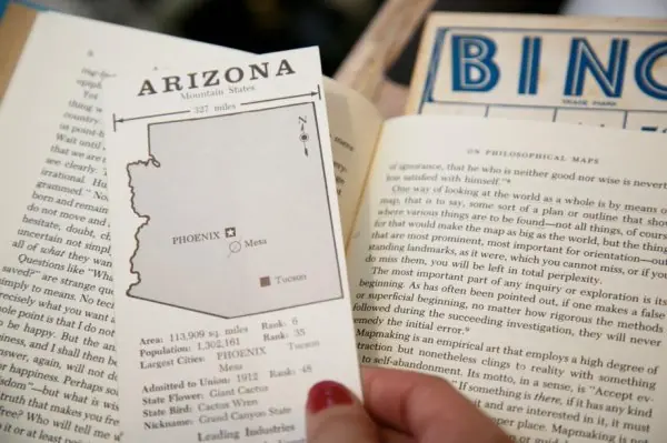 arizona arizona