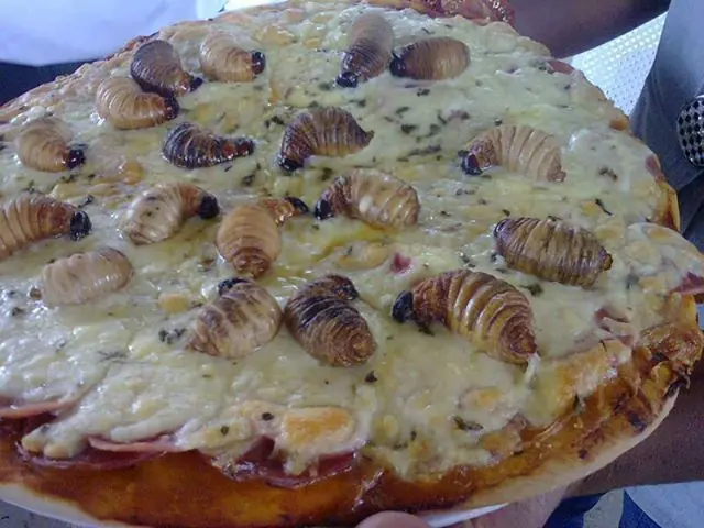 Insolito: Peruanos comen gusano..