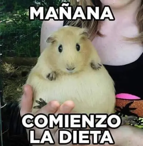 cabezona