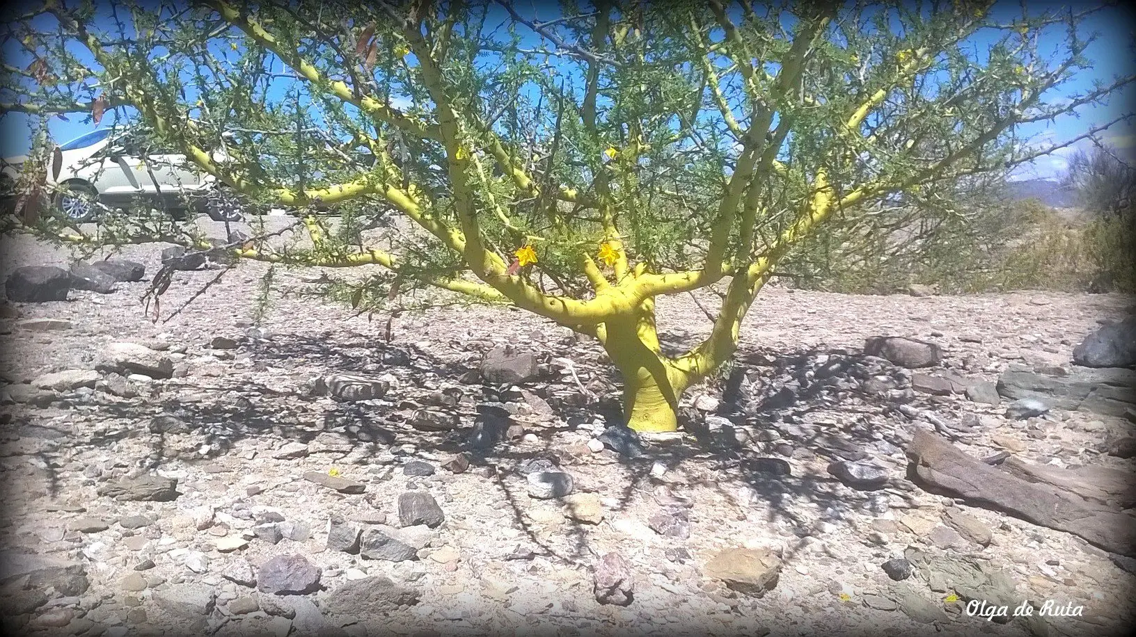 Nos Hicimos Nuestra Casa Rodante y Ya estamos Viajando!! Nos Hicimos Nuestra Casa Rodante y Ya estamos Viajando!!