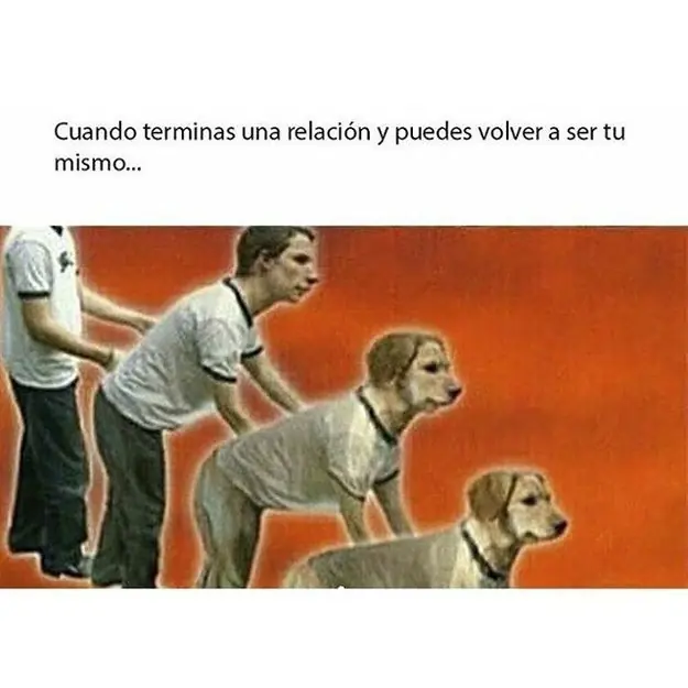 wera
