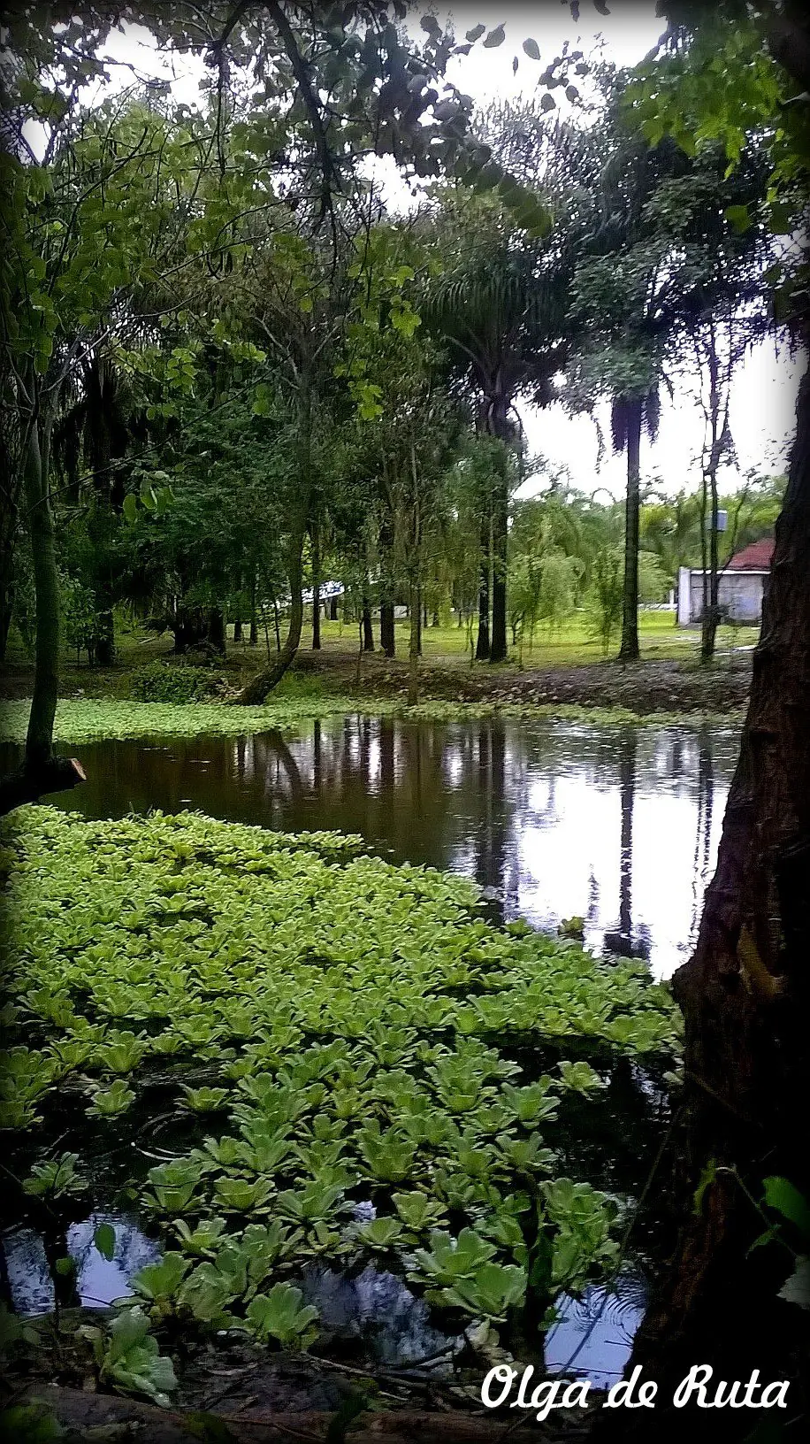 viaje viaje