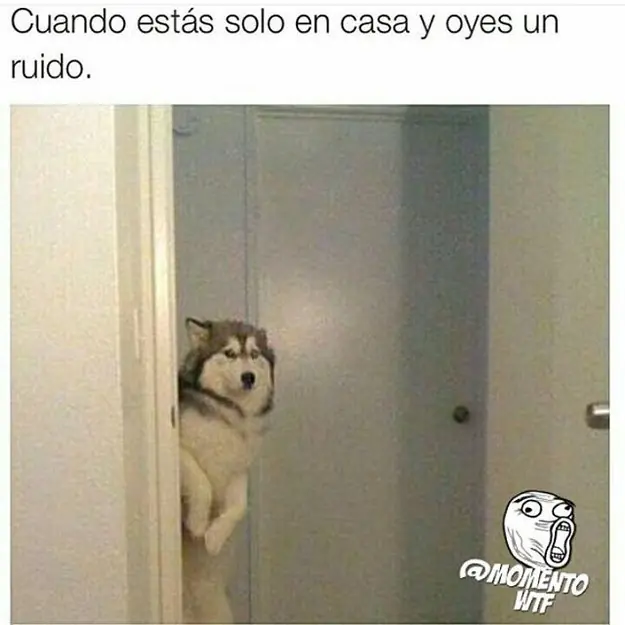 Apuesto que te ha pasado...