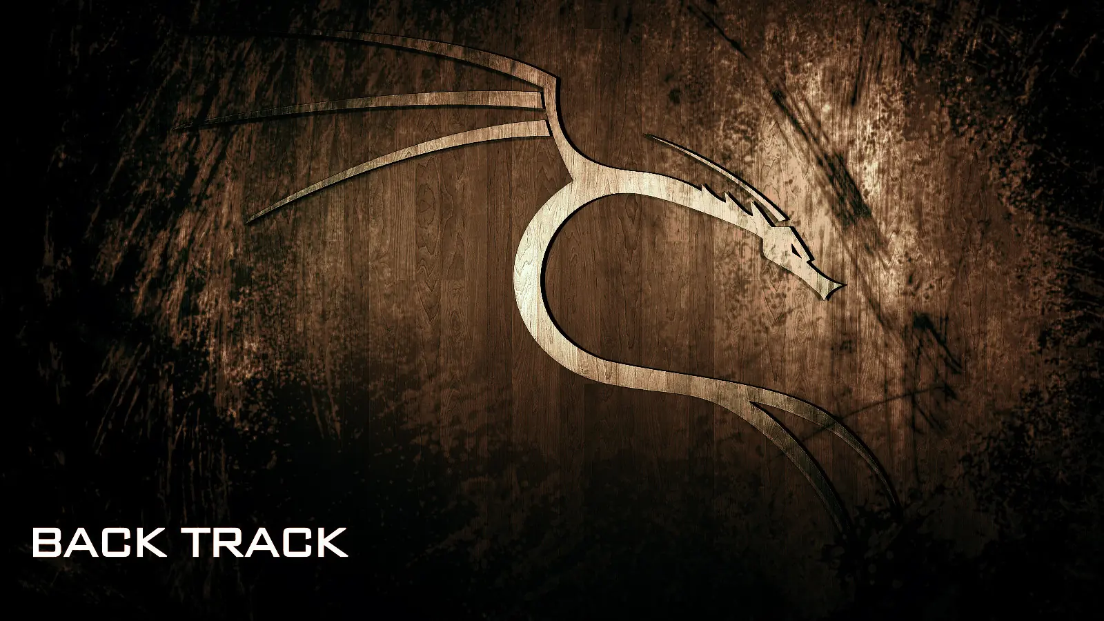 kali linux