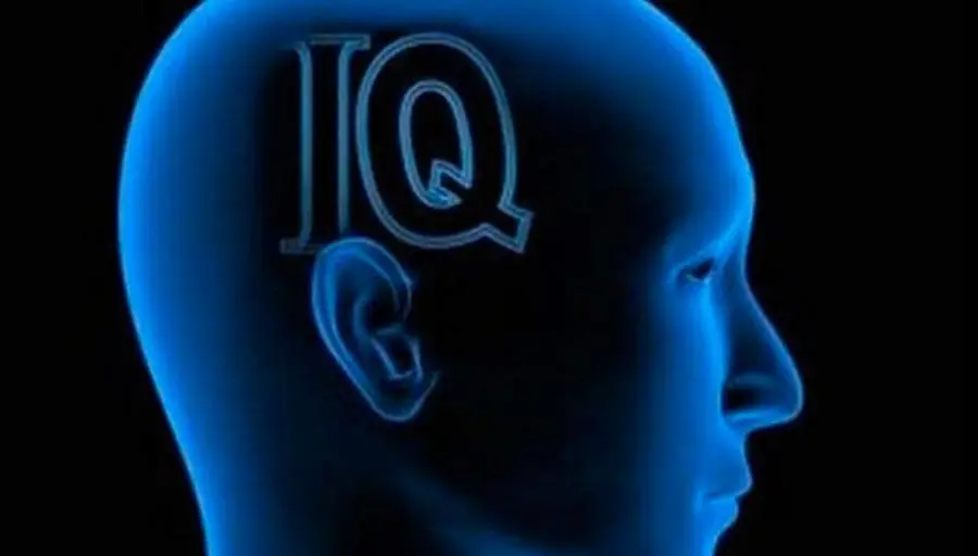 test de inteligencia