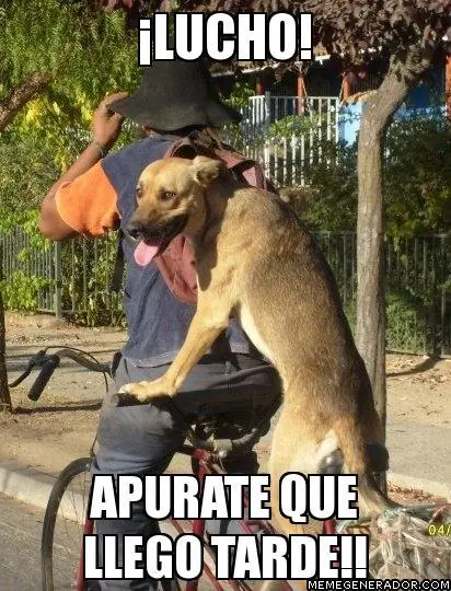 humor