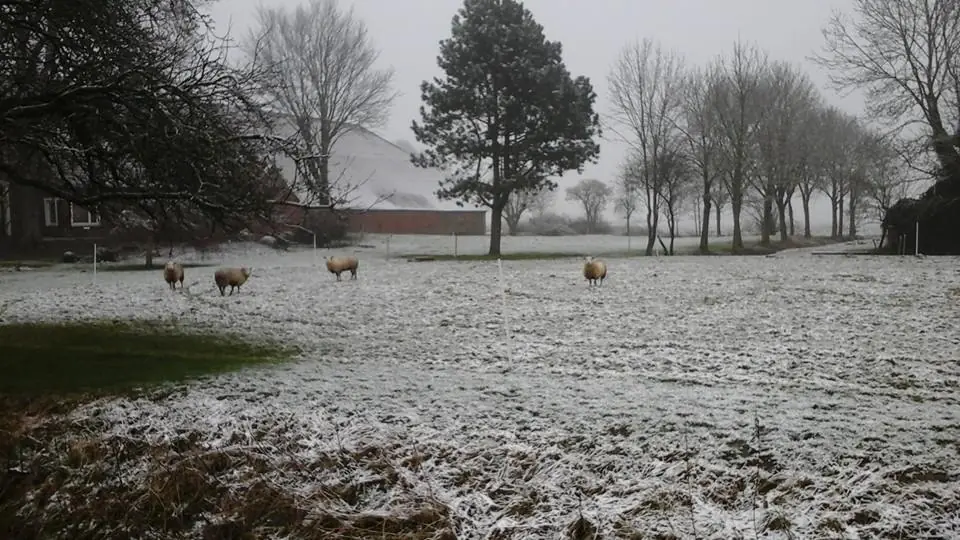 Holanda