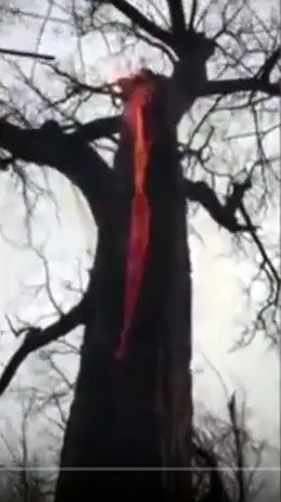 Fenomenos Naturales Increibles - videos y fotos