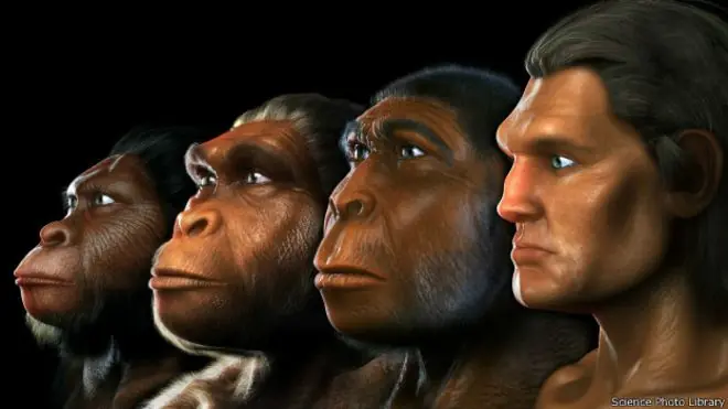 15 cambios que nos hicieron humanos