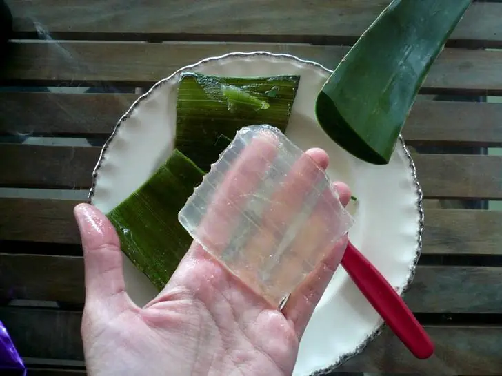 como usar aloe vera