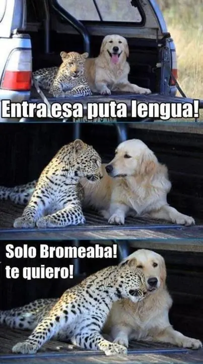 memes de risa