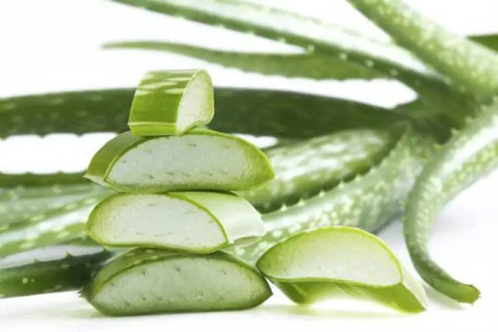 formas de usar aloe vera