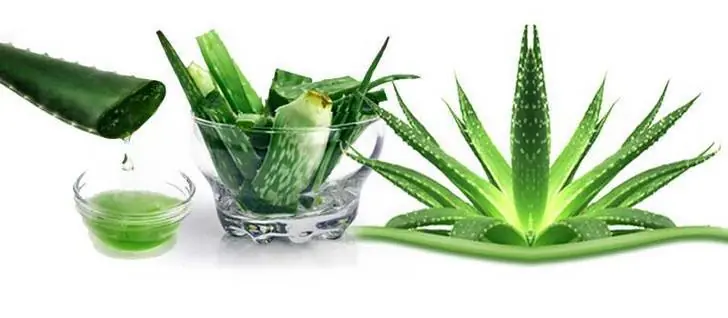 como usar aloe vera